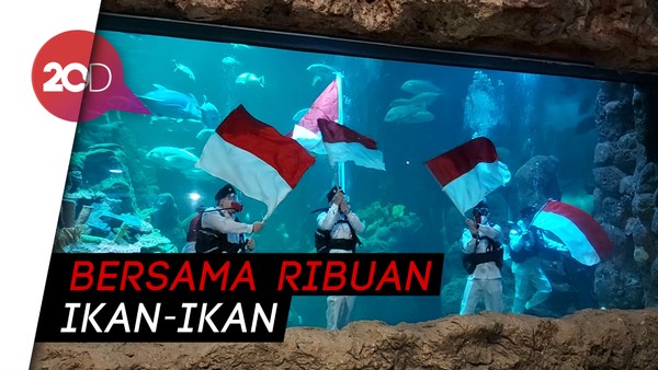 Suasana Pengibaran Merah Putih di Akurium Raksasa SeaWorld