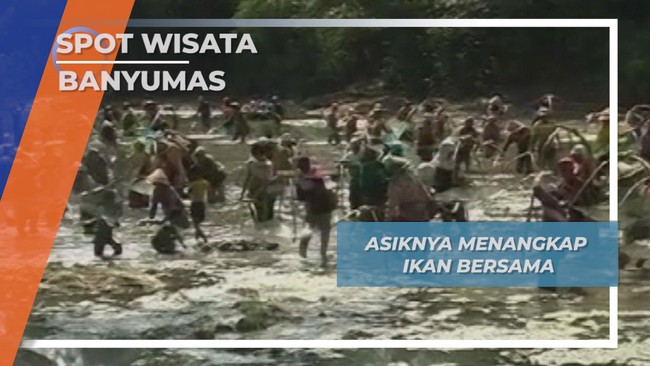 Tangkap Ikan Bersama ala Emak Emak Sungai Tajum Banyumas