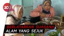Nikmatnya Menyantap Nasi Liwet Pedesaan Khas Subang Nikmatnya Menyantap Nasi Liwet Pedesaan Khas Subang