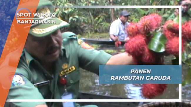 Panen Rambutan Garuda dari Perahu , Plasma Nutfah Banjarmasin - Kelebihan Dan Kekurangan Permainan Tradisional Gasing