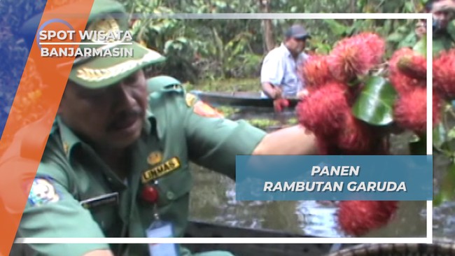 Panen Rambutan Garuda dari Perahu , Plasma Nutfah Banjarmasin