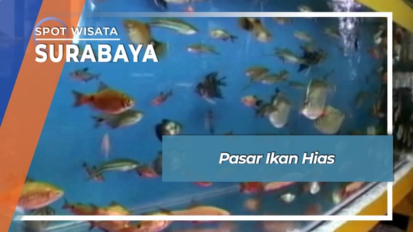 Pasar Ikan Hias Gunungsari Surabaya