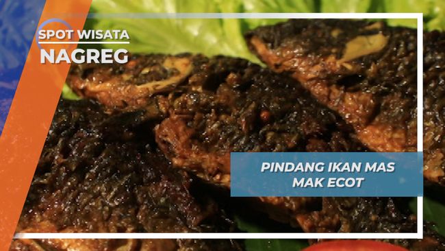 Penampung Lidah Buaya Di Sumatera Utara - obat agar buang ...