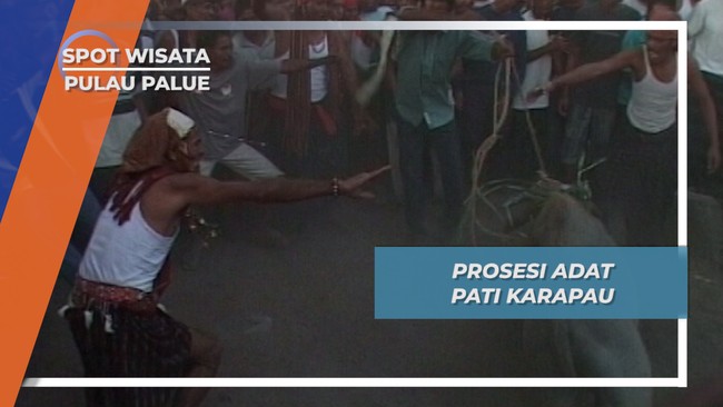 Prosesi Adat Pati Karapau, Pulau Palue