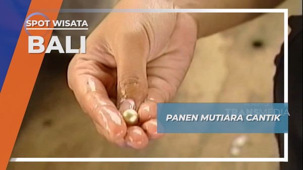 Panen Mutiara Cantik, Bali