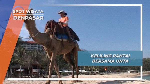 Unta Berkeliling Pasir Pantai Bali