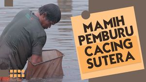 Mendulang Geliat Emas Merah di Lumpur BKT