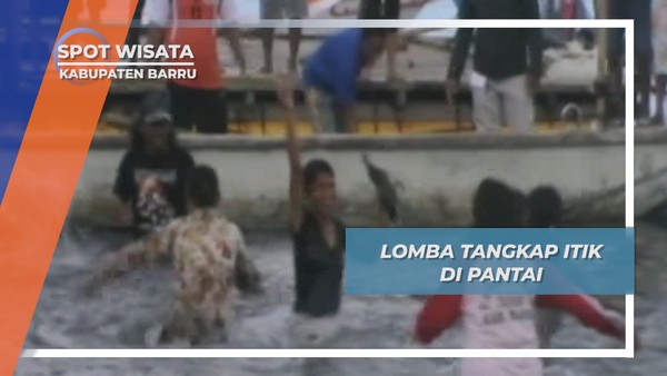 Tangkap Itik Pantai Kupa Mallusetasi Barru