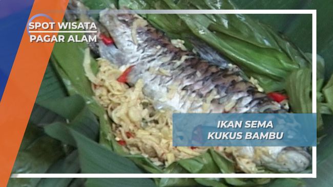  Ikan  Sema  Kukus Bambu Pagar Alam