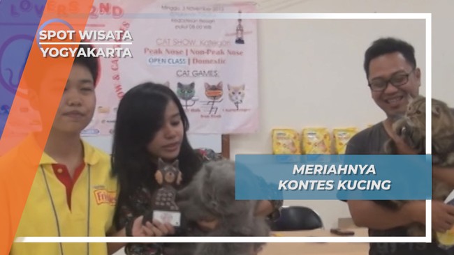 Kontes Aneka Kucing Yogyakarta, Ajang Silaturahmi Pecinta Binatang