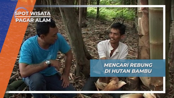 Rebung, Si Tunas Bambu di Hutan Pagar Alam Sumatera Selatan