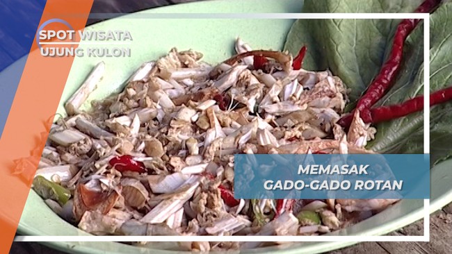 Memasak Gado-gado Rotan, Ujung Kulon