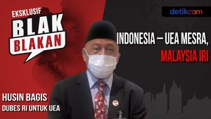 Blak-blakan Hubungan Mesra Jokowi-Pangeran UEA