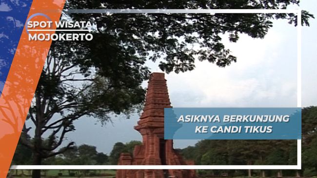 Candi Tikus, Ditemukan Karena Keberadaan Sarang Tikus di ...