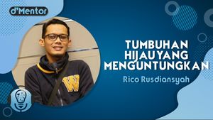 Panen Cuan Bisnis Tanaman Hias 