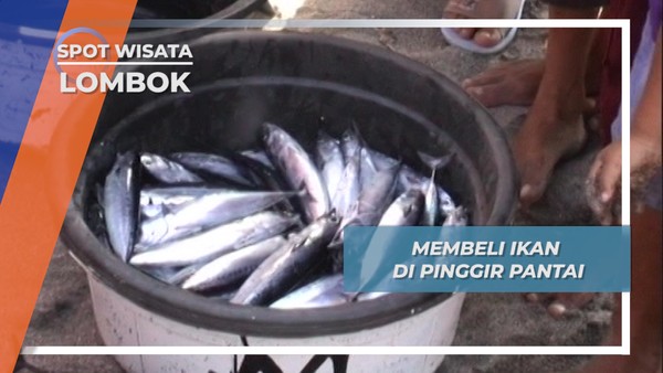 Membeli Ikan di Pinggir Pantai, Lombok