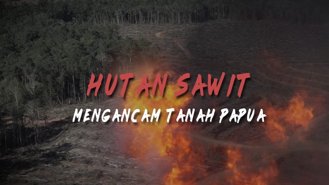 Hutan Sawit Mengancam Tanah Papua