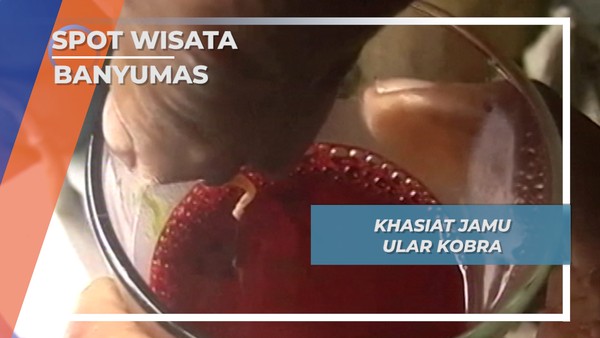 Kuliner Ekstrim, Jamu Ular Kobra Ajibarang Banyumas