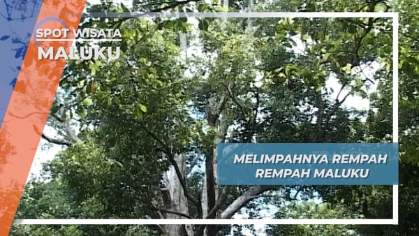 Rempah Rempah Lereng Gunung Gamalam Maluku