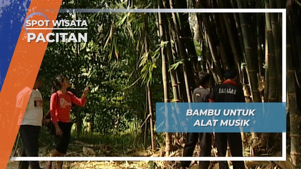 Bambu Tapuk, Alat Musik Khas dari Pacitan, Pacitan, Jawa Timur