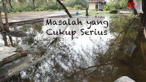 Melihat Ganasnya Abrasi Menggerus Rupat
