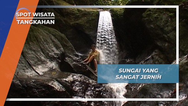 Segarnya Minum Air Langsung dari Sungai yang Jernih, Tangkahan