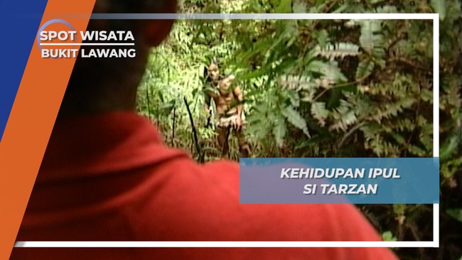 Kisah Ipul, Tarzan Sumatera yang Lahir di Hutan Rimba