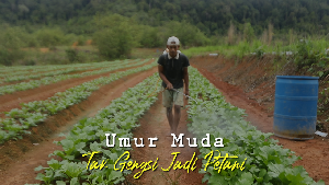 Cerita Anak Perbatasan, Petani Yes Kantoran No
