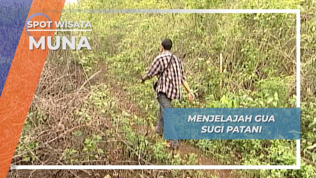 Gua Sugi Patani Rahasia Penemuan Layang Layang Tertua Di Dunia Ada Di Pulau Muna
