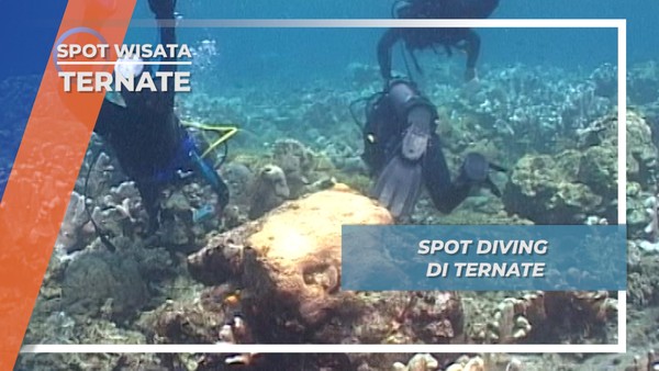 Menengok Pesona Spot Diving di Ternate, Maluku Utara
