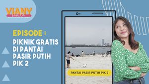 Viral, Ada Pantai Pasir Putih Ala Miami Beach Florida di PIK 2 Jakarta