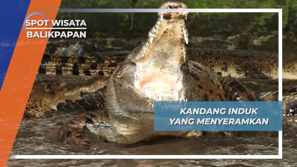 Kandang Induk yang Menyeramkan, Balikpapan