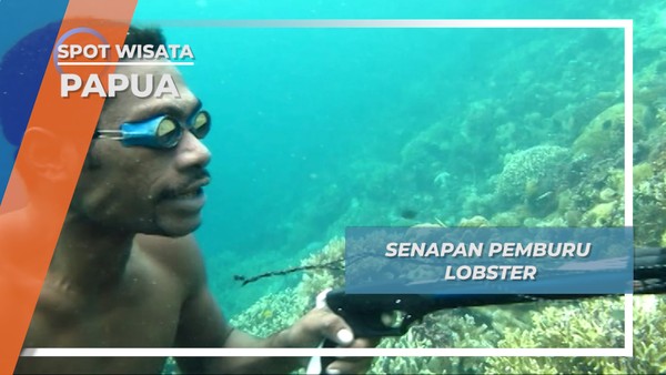 Senapan Kayu, Senjata Nelayan Berburu Lobster Kwatisore Papua
