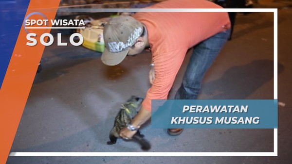 Perawatan Khusus Kuku Si Musang Kota Solo