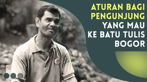 Penampakan Macan Loreng Penjaga Prabu Siliwangi