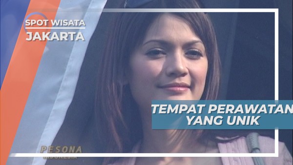Tempat Perawatan Yang Unik Tidak Biasa Kemang Jakarta