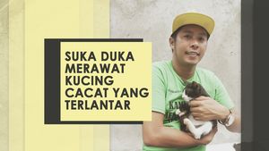 Tidak Suka Kucing Itu Boleh, Tapi Nggak Pake Nyiksa Juga