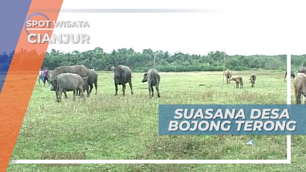 Pemandangan Alam Indah di Desa Bojong Terong, Cianjur