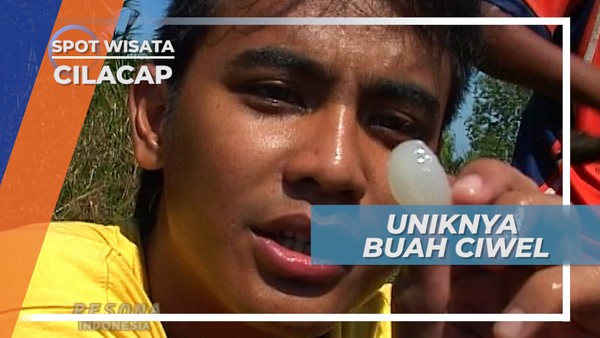 Ciwel, Buah Unik yang Memiliki Rasa Seperti Kelapa Muda, Cilacap