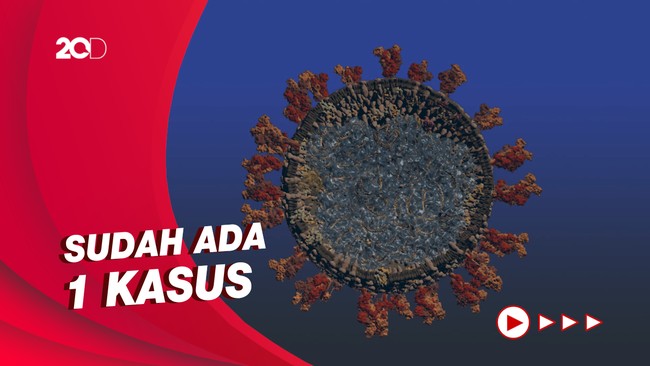 Varian Corona Eek yang Heboh di Jepang Sudah Masuk Indonesia