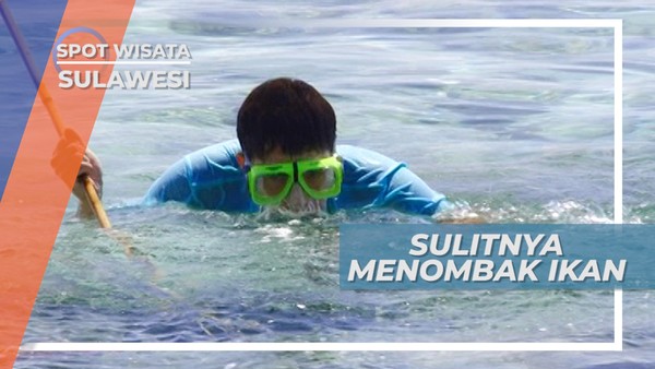 Mencoba Menombak Ikan Bersama Nelayan Suku Bajo Sulawesi