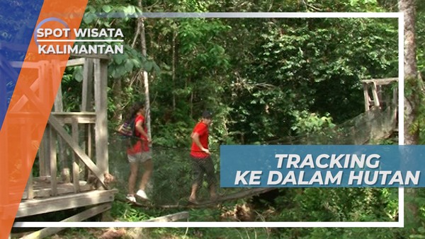 Jalan Jalan Masuk Hutan Wisata Bukit Bangkiray Samboja Kalimantan Timur