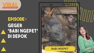 Viral Babi Ngepet di Depok, Memahami Cara Kerja Alam Gaib