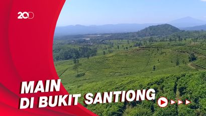 Celebrity on Vacation: Naik Camper Van dan Keliling Kebun Teh  