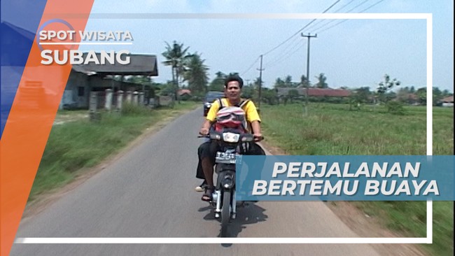 Perjalanan Bertemu Si Buaya Blanakan Subang Jawa Barat