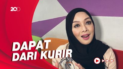 Terry Putri Sudah Kantongi Foto Mobil Pelaku Pencurian di Rumahnya