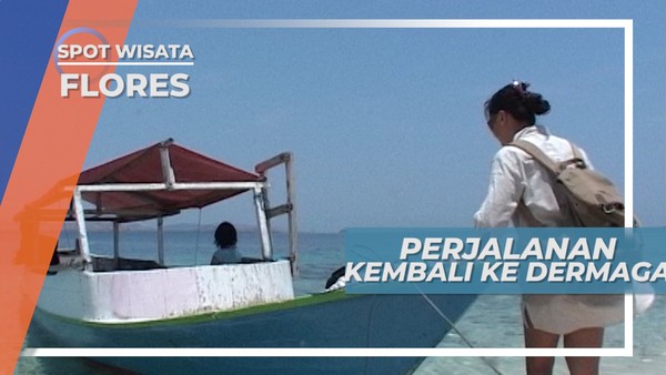 Menikmati Taman Laut Kecil dari atas Perahu Menuju Dermaga, Flores