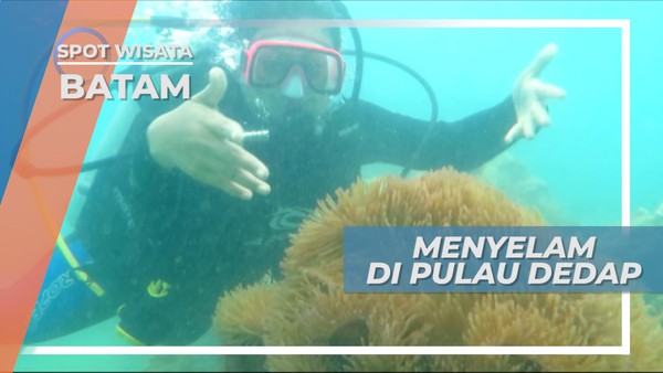 Pulau Dedap, Titik Penyelaman Andalan di Pulau Batam