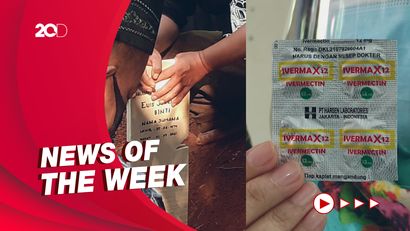 Top 5: Pro Kontra Ivermectin, Mbak You Meninggal Dunia