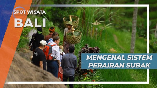 Subak, Sistem Pengairan Sawah yang Menjadi Primadona Ubud, Bali